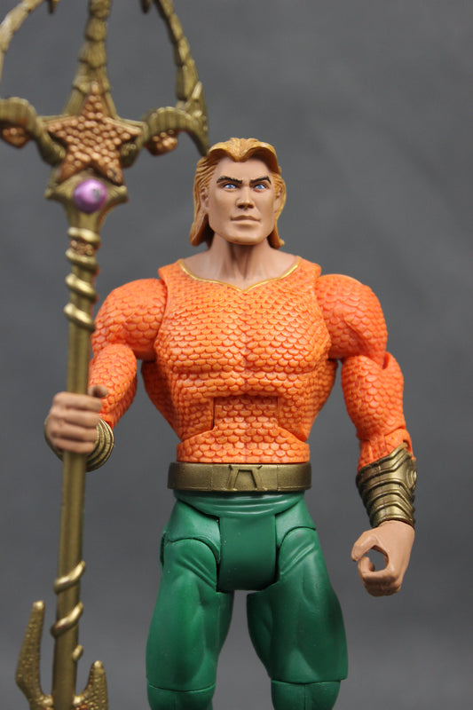 Aquaman (Long Hair) - Complete Mattel DC Universe Classics