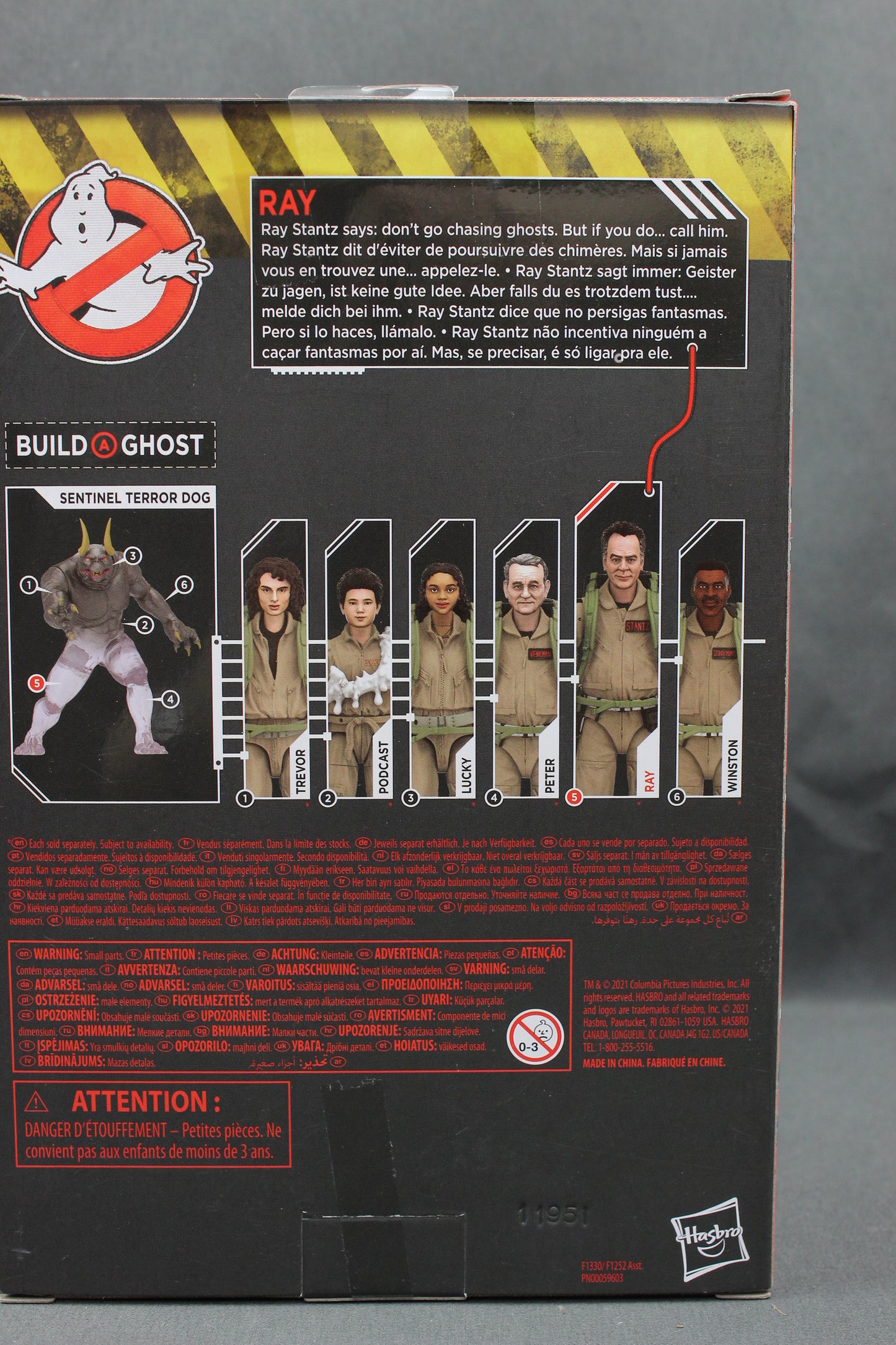 Ray Stantz (After Life) Ghostbusters Sealed